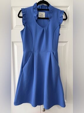 Tabitha Anthropologie Blue Textured Fit Flare Dress Size 4 Ruffle Sleeve